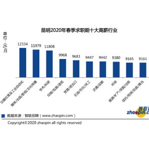数字化时代下的人力资本管理 新闻与战略