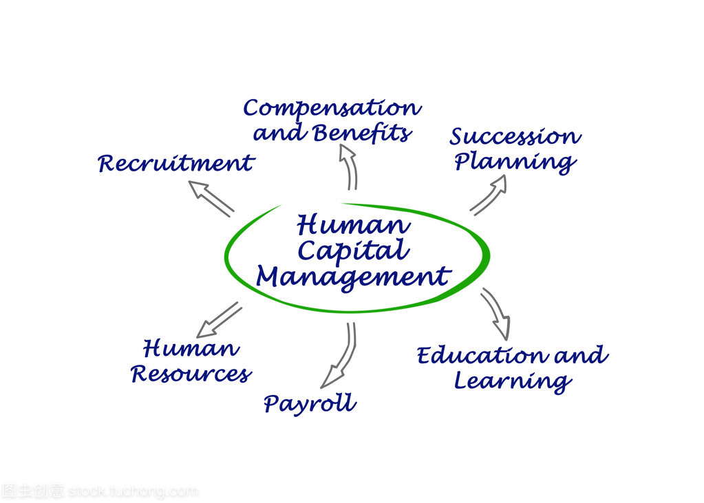 人力资本管理 从成本控制到价值创造的战略转型